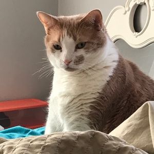 Meet your Posher, Tawana